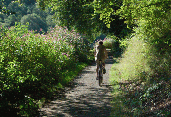 rupert-on-his-way-to-documenta