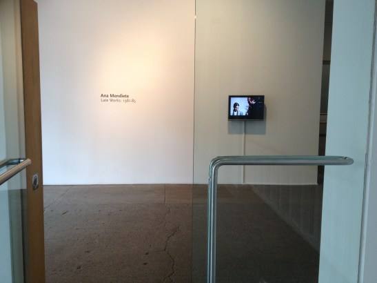 Ana Mendieta: Late Works 1981-85, installation view at Galerie Lelong, NY. Image courtesy of Erin Dziedzic