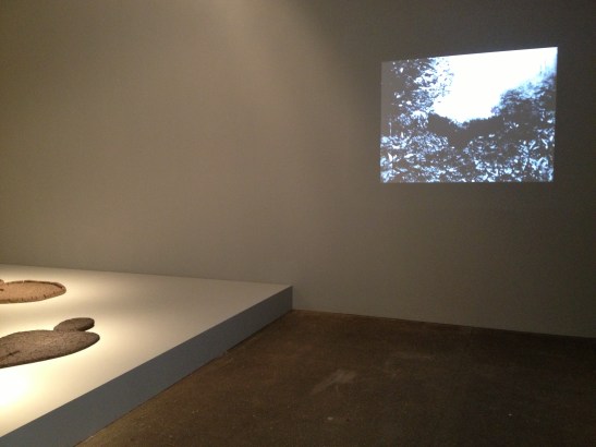 Ana Mendieta: Late Works 1981-85, installation view at Galerie Lelong, NY. Image courtesy of Erin Dziedzic