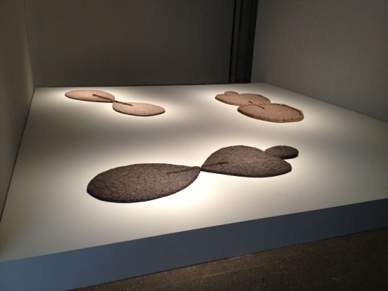 Ana Mendieta: Late Works 1981-85, installation view at Galerie Lelong, NY. Image courtesy of Erin Dziedzic