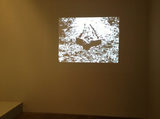 Ana Mendieta: Late Works 1981-85, installation view at Galerie Lelong, NY. Image courtesy of Erin Dziedzic