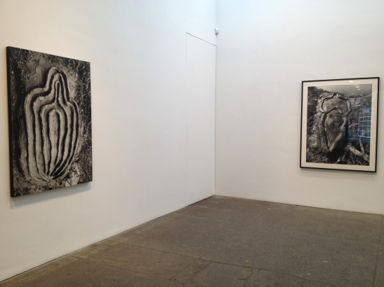 Ana Mendieta: Late Works 1981-85, installation view at Galerie Lelong, NY. Image courtesy of Erin Dziedzic