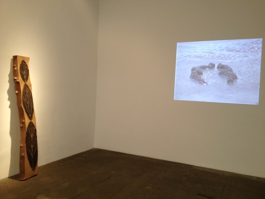 Ana Mendieta: Late Works 1981-85, installation view at Galerie Lelong, NY. Image courtesy of Erin Dziedzic