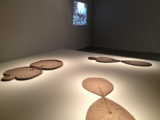 Ana Mendieta: Late Works 1981-85, installation view at Galerie Lelong, NY. Image courtesy of Erin Dziedzic