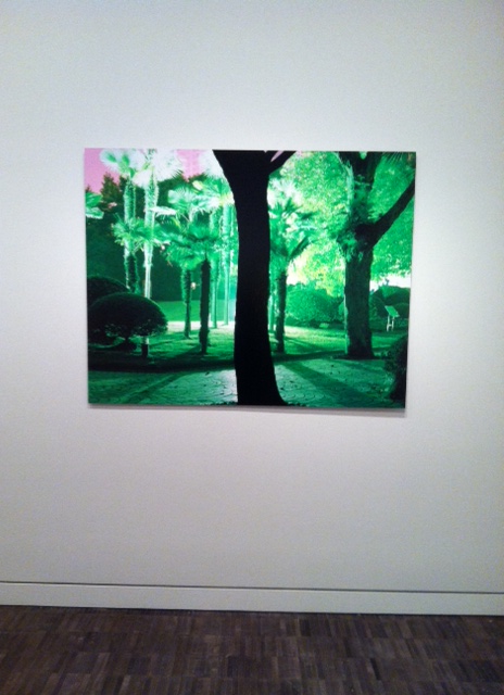 Lisa K. Blatt, People's Park, Shanghai, China, 2007, photo on aluminum. Image by Monica Shinn