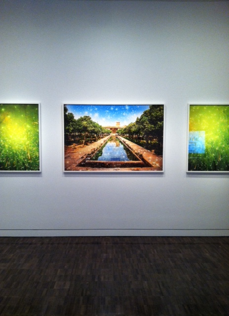 Ala Ebtekar, Paradise, 2011, archival pigment print on canvas. Image by Monica Shinn
