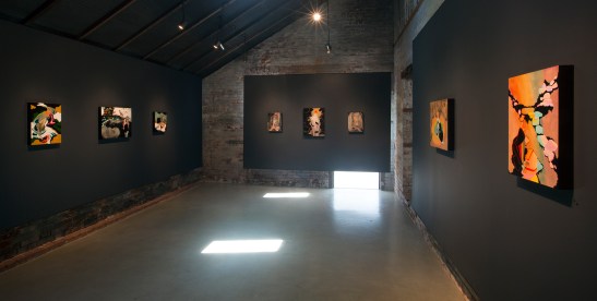 Ann-Marie Manker, Installation View of Under the Rainbow, 2013, Whitespace Gallery. Image by Rafterman Photography