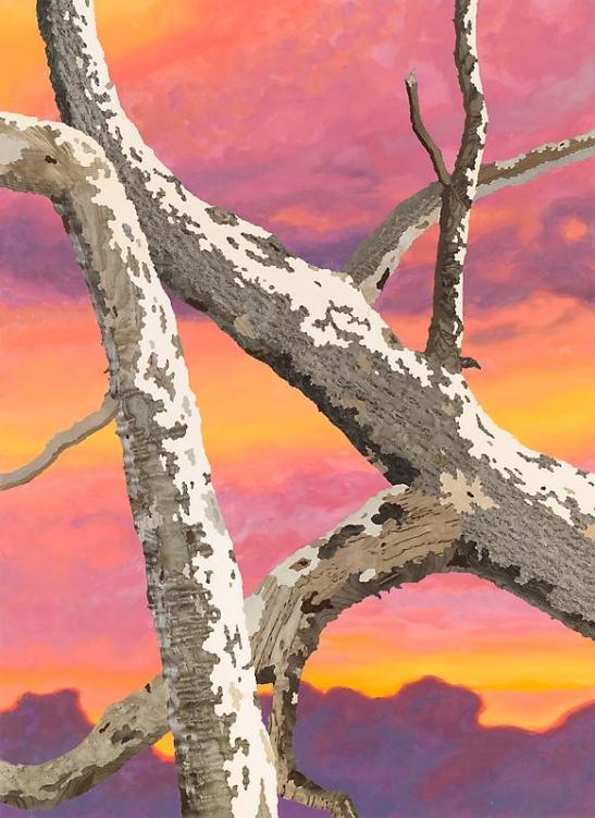 Alison Elizabeth Taylor, Cloud 10, 2012, Wood veneer, oil paint, shellac, 41 7/8 x 30 5/8 inches. Courtesy of The Artist / Courtesy James Cohan Gallery, New York/Shanghai