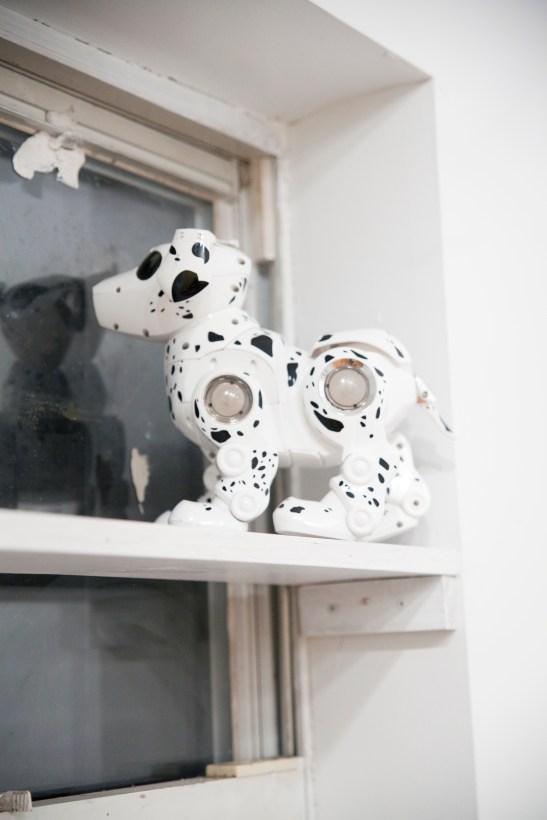 Travis Boyer and Hayden Dunham, installation view at Jackie Klempay, 