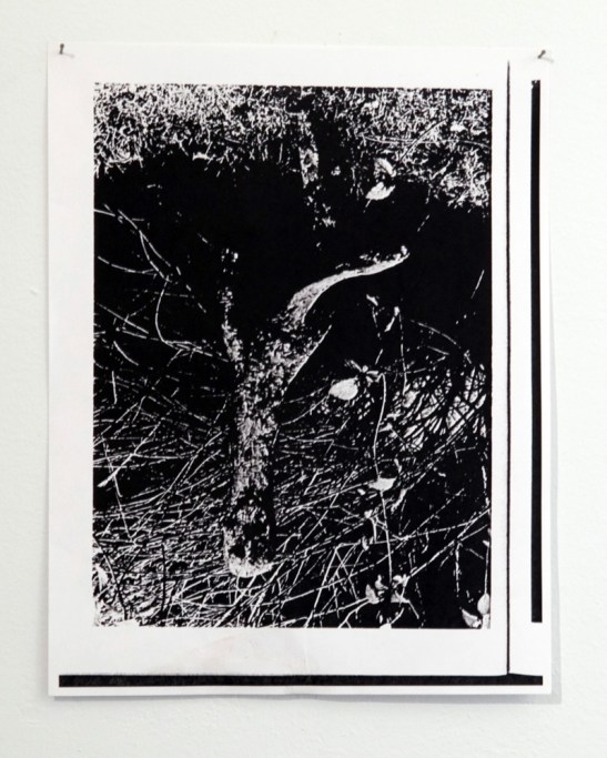 AS A SHADOW SMILES: FRANK HAINES, CHRISTOPHER GARRETT, REUBEN LORCH-MILLER, ROBBIE MCDONALD,Installation view, Jackie Klempay Gallery, Brooklyn, NY, 2013.