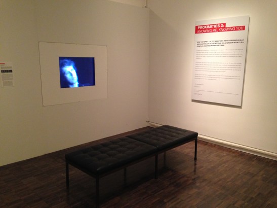Proximities 2: Knowing Me, Knowing You, installation view, Asian Art Museum